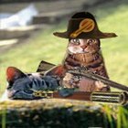 Twocats